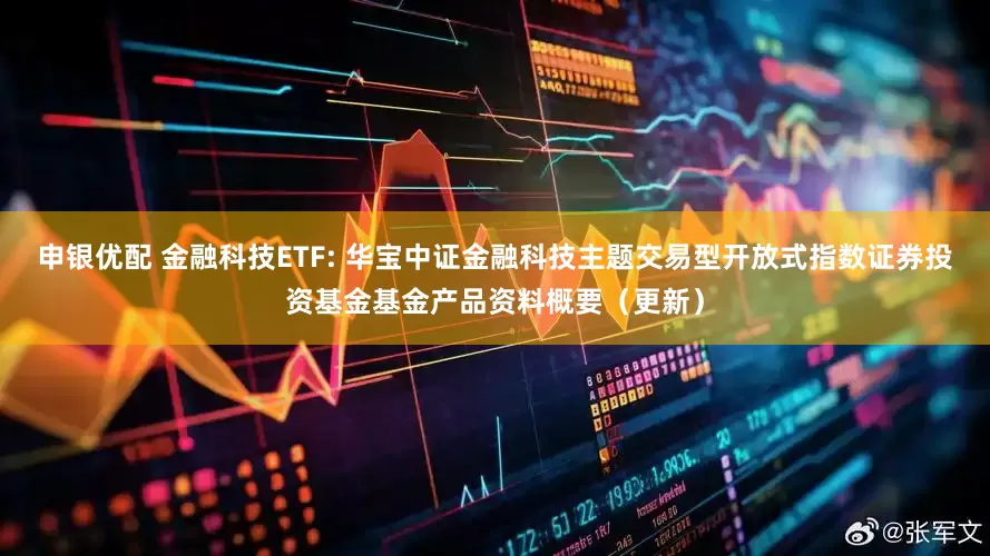 申银优配 金融科技ETF: 华宝中证金融科技主题交易型开放式指数证券投资基金基金产品资料概要（更新）